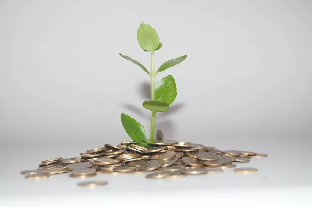Nachhaltige Finanzierung: ein Schlüssel für Unternehmen